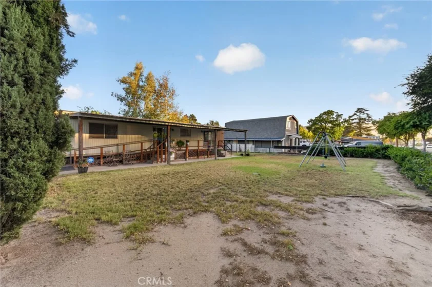 41926 Juniper photo 5