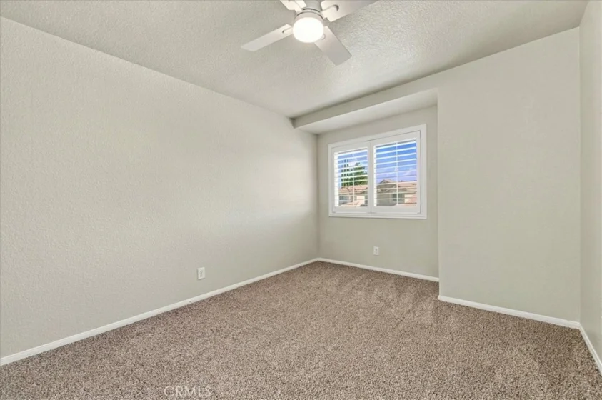 40153 Starling photo 33