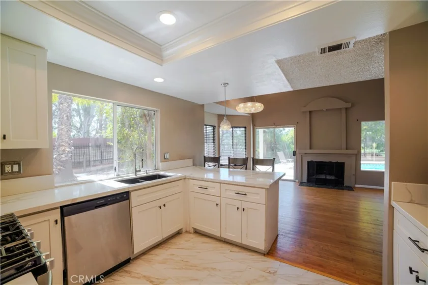 30446 Spica Court photo 8