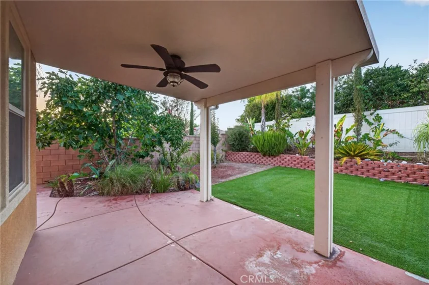 30780 Olympia Rose photo 62