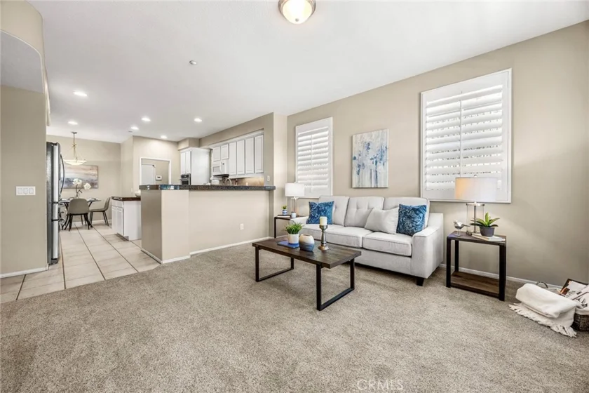 17206 Coriander Court photo 10