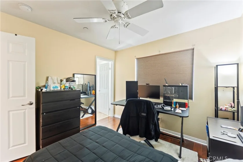1123 Abelia photo 9