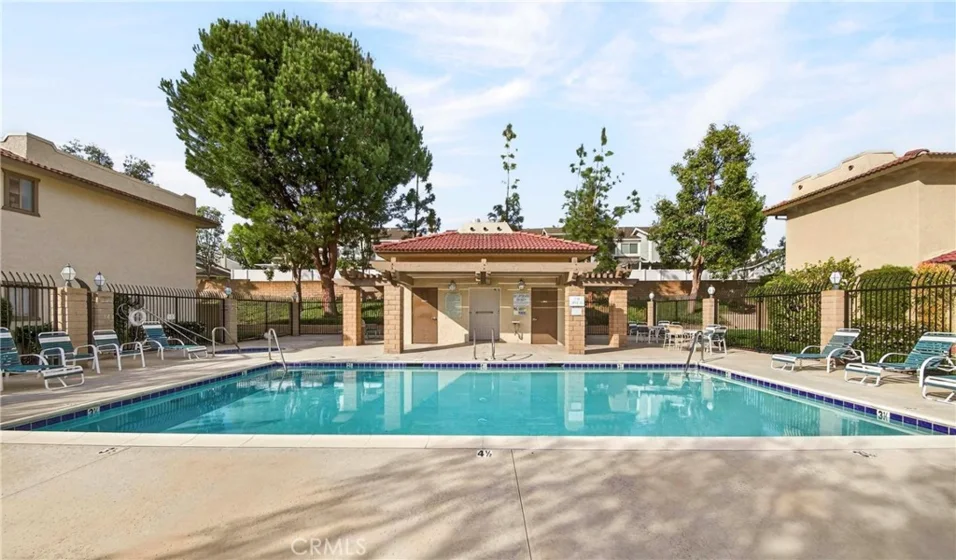 25261 Tanoak photo 40