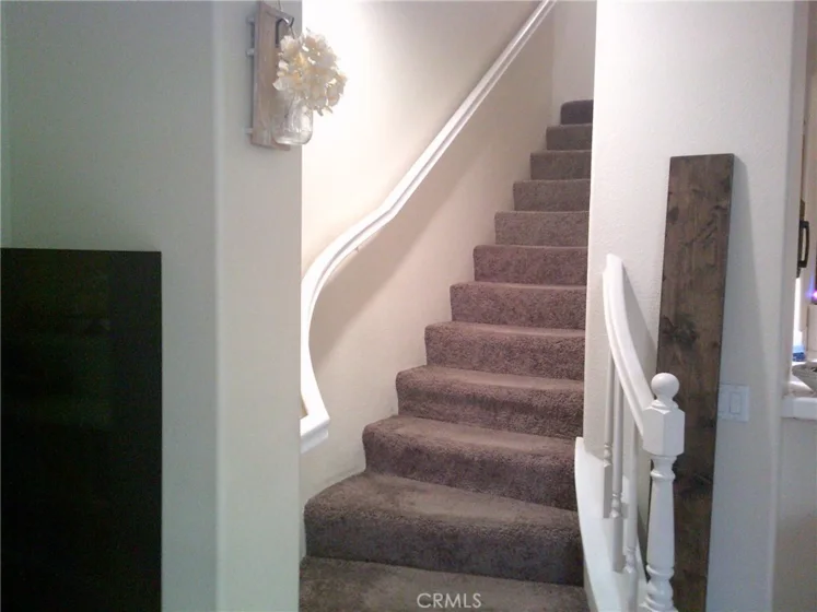 27959 Cactus #B photo 12