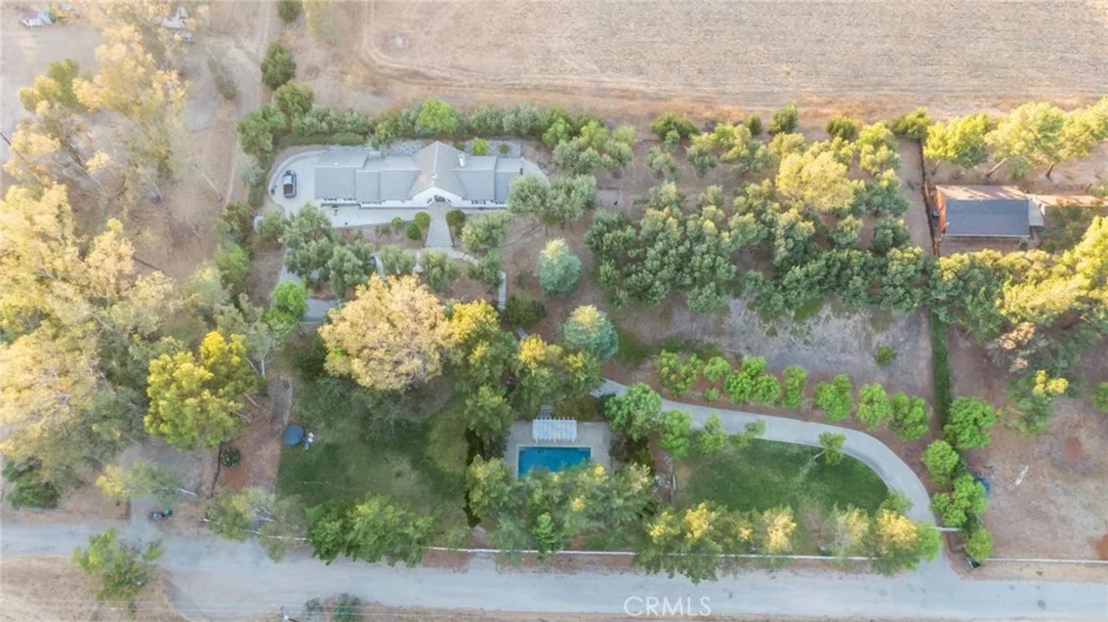 42761 Juniper photo 65