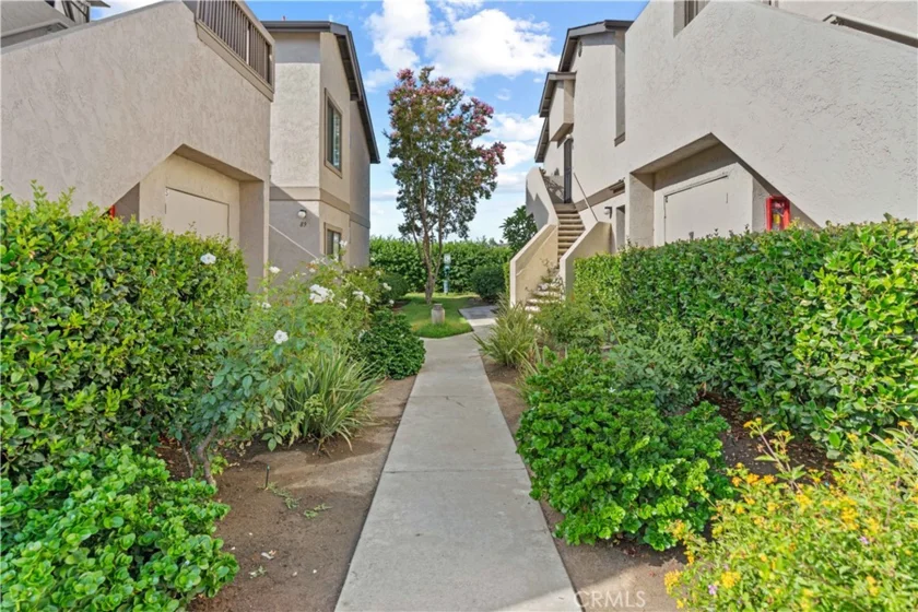 3617 Avocado Village Court #88 photo 1