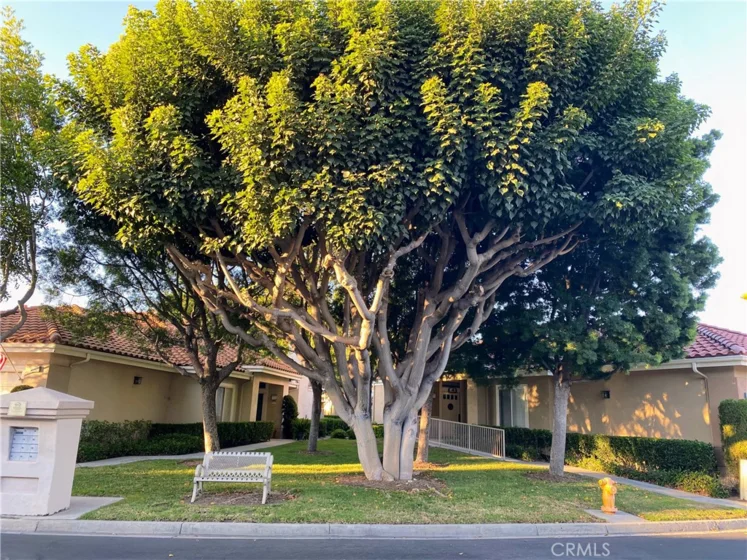 28938 Paseo Caravella photo 29
