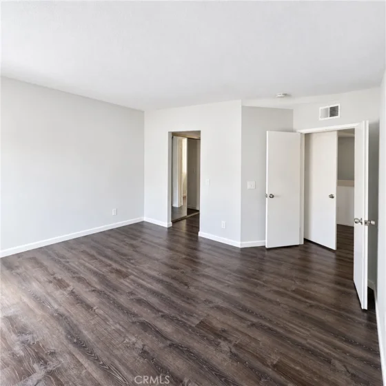 21128 Gladiolos photo 13