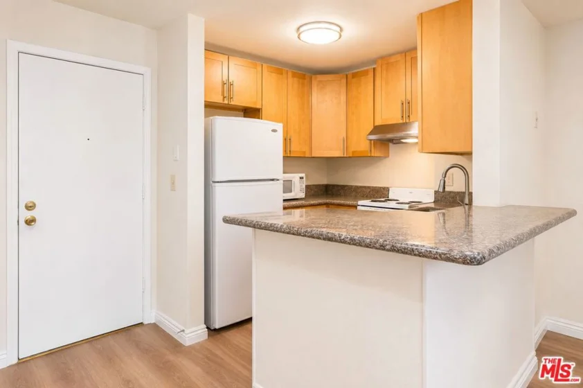 210 S La Fayette Park Place #314 photo 44