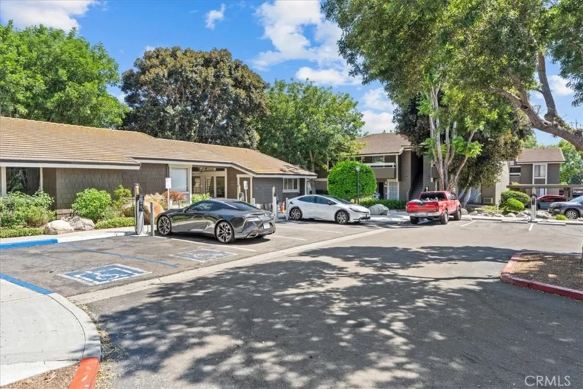 208 Springview photo 36