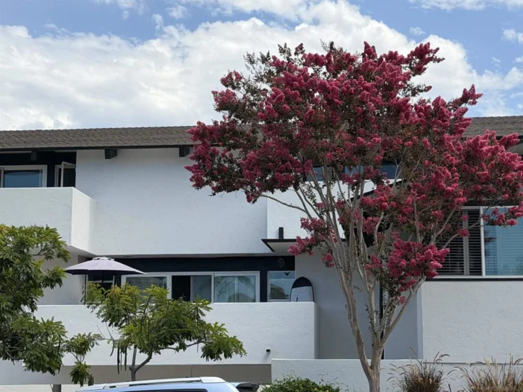 7512 Viejo Castilla #17 photo 1