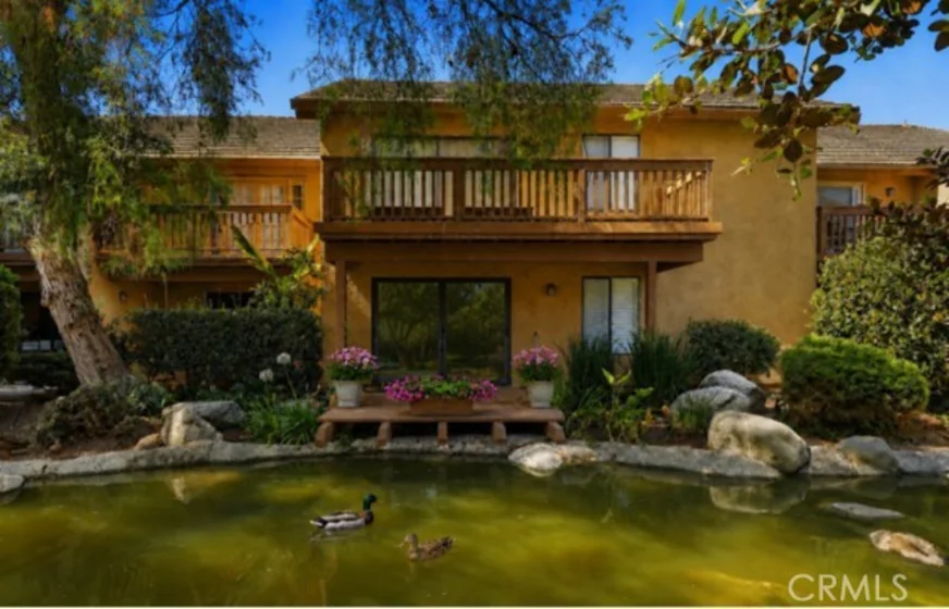 44 Tangelo #298 photo 1
