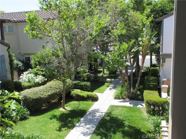 65 Figtree photo 7