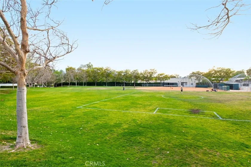 44 Pinzon photo 59