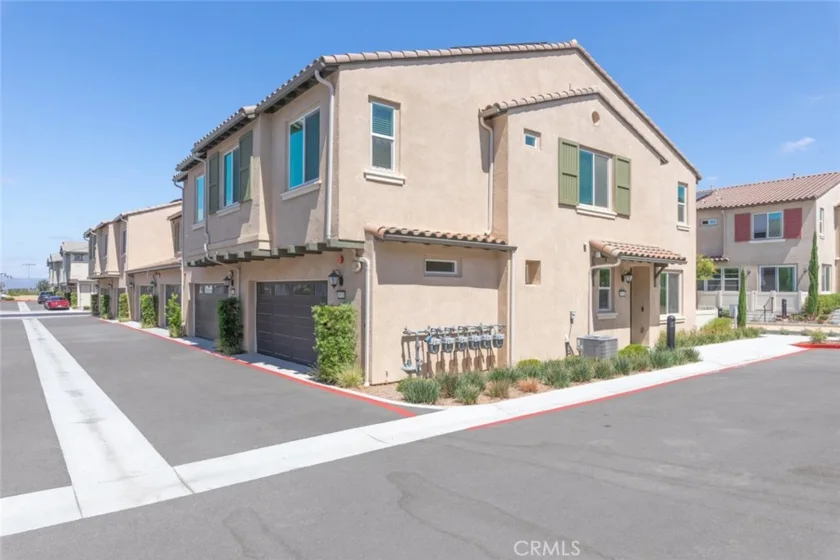 39438 Corvina photo 4