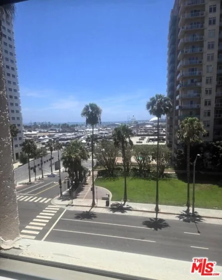 455 E Ocean Boulevard #502 photo 8