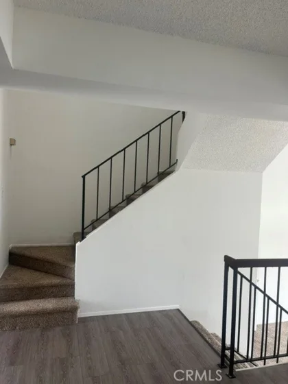 8812 Spring Canyon Drive photo 12