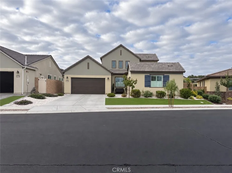 32229 Olea photo 1