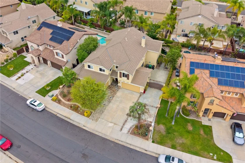 26352 Palm Tree photo 68