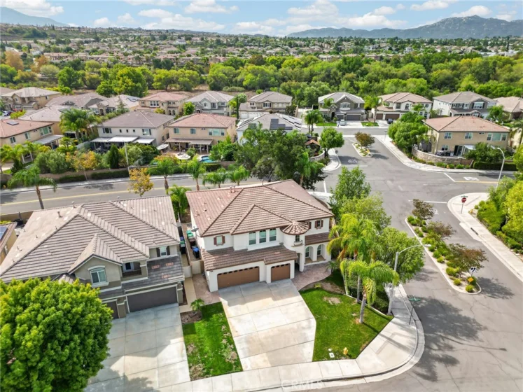 33629 Pebble Brook Circle photo 40