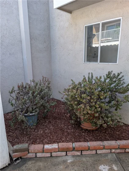 205 13th Street #D photo 6