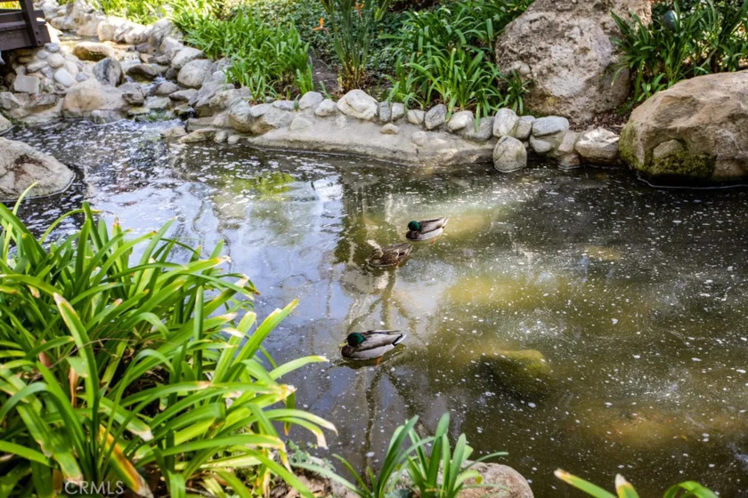21901 Burbank Boulevard #218 photo 41
