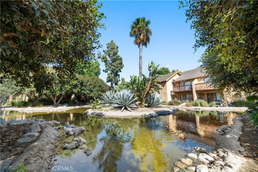 208 Orange Blossom photo 18