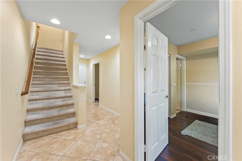 1123 Abelia photo 13