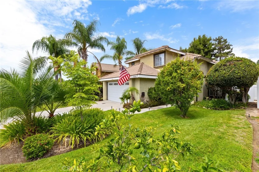 39885 Wild Canary Lane photo 10