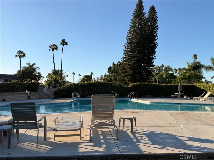6631 Wintertree Drive photo 18