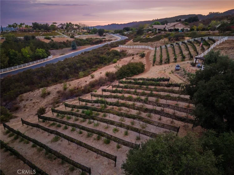 40190 Sierra De Ronda photo 71
