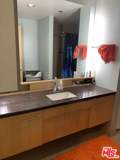 1111 S Grand Avenue #804 photo 8