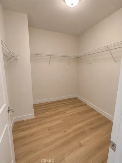 26252 Sage Grass Court photo 38