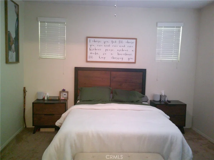 27959 Cactus #B photo 19