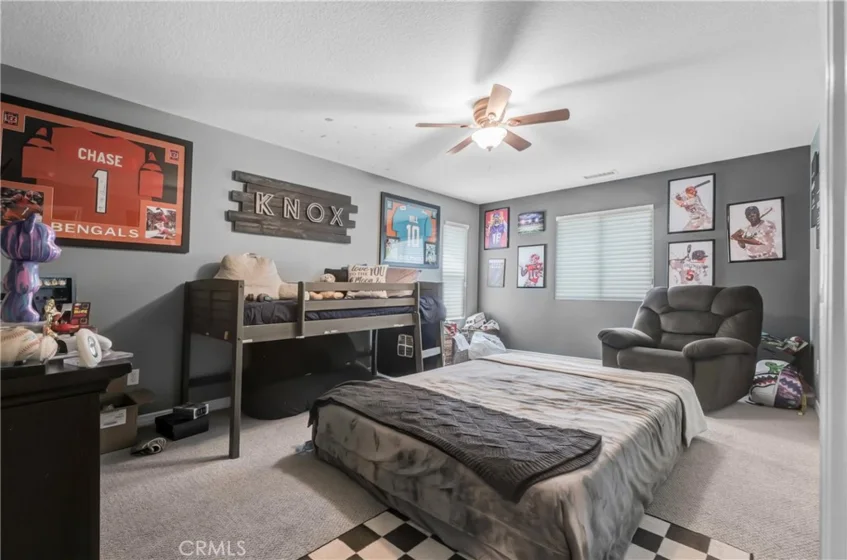 27126 Coral Bells Way photo 41