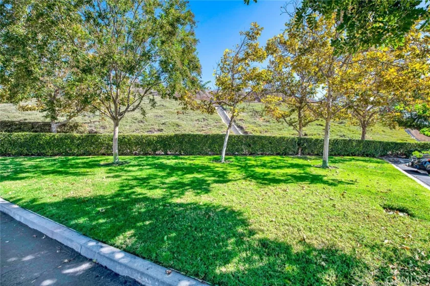 58 Mira Mesa photo 6