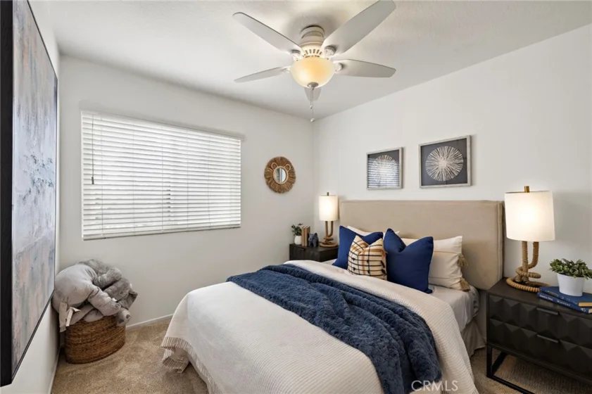 26907 Begonia photo 28