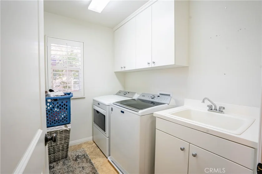 26775 Chamomile photo 28