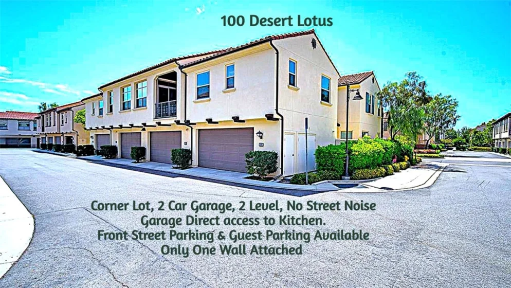 100 Desert Lotus photo 6