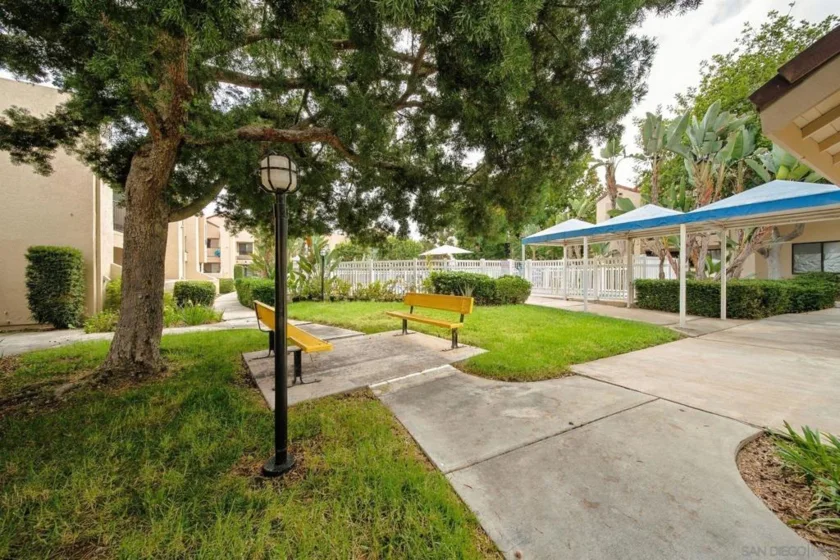 10805 Camino Ruiz #43 photo 12