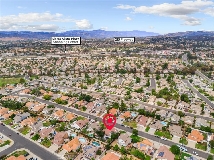 25401 Lacebark photo 50