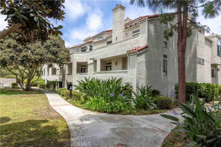 17151 Corbina photo 27