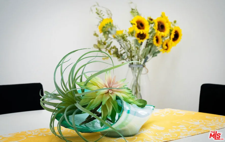 11301 Summertime Lane photo 5