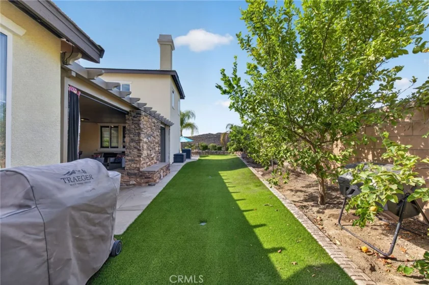 27390 Bent Grass photo 63