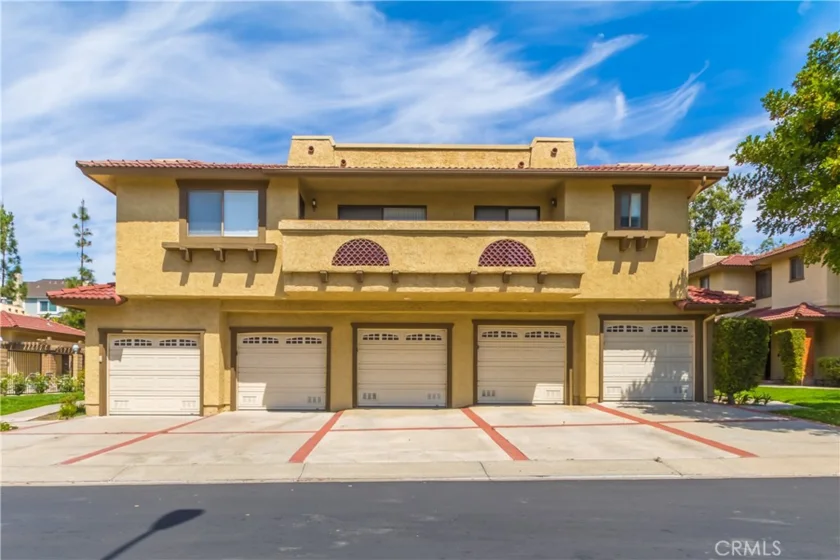 25261 Tanoak photo 3