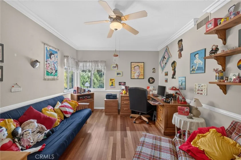 30767 Calle Pina Colada photo 57