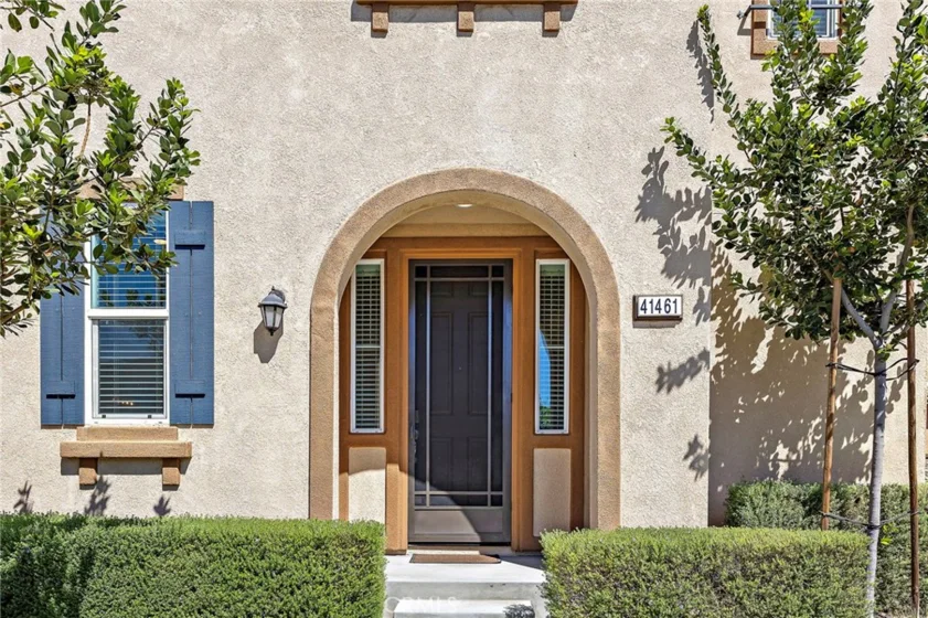 41461 Winterberry photo 4