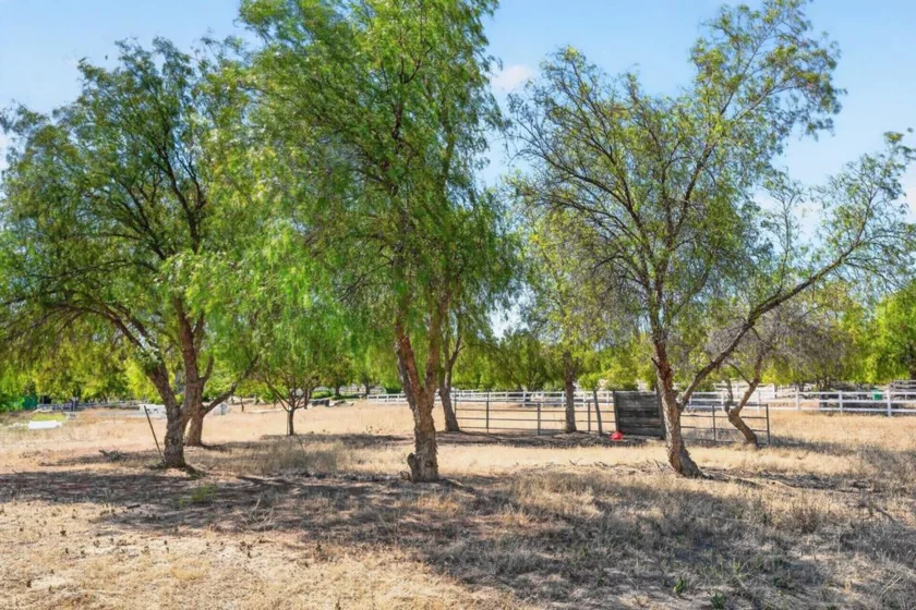 35205 Calle Nopal photo 44