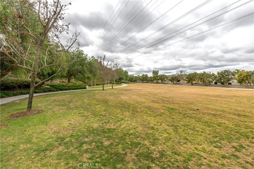 21605 Fernbrook photo 55