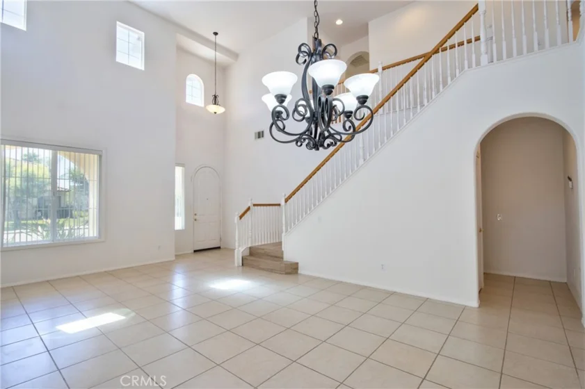 45743 Magnolia photo 5